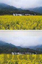 糖心vlog正版-糖心vlog正版,打造创意视频的合法旅程